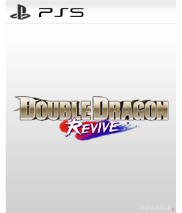 Double Dragon Revive PS5