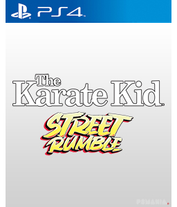 The Karate Kid: Street Rumble PS4