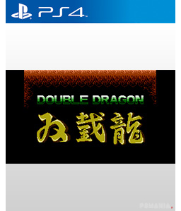 Double Dragon PS4