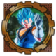 And This...is Vegito Blue!