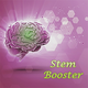 Stem Booster