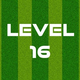 Complete Level 16