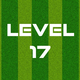Complete Level 17