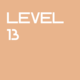 Level 13